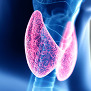 UCSF-Division-of-Endocrine-Surgery-Research-2x