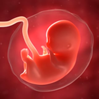 UCSF-Fetal-Treatment-Center-Research-2x