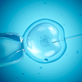 UCSF-National-Center-of-Excellence-in-Womens-Health-Research-2x