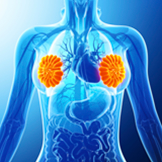 Athena-Breast-Health-Network-2x