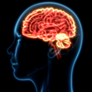 UCSF-Center-for-Cerebrovascular-Research-2x