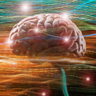 UCSF-Department-of-Psychiatry-Research-2x