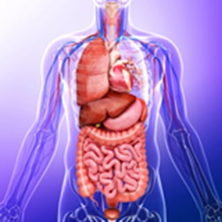 UCSF-Division-of-Transplant-Surgery-Research-2x