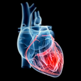 UCSF-Heart-Failure-and-Pulmonary-Hypertension-Research-2x