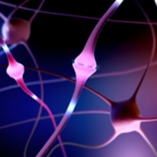 UCSF-Multiple-Sclerosis-Center-Research-2x