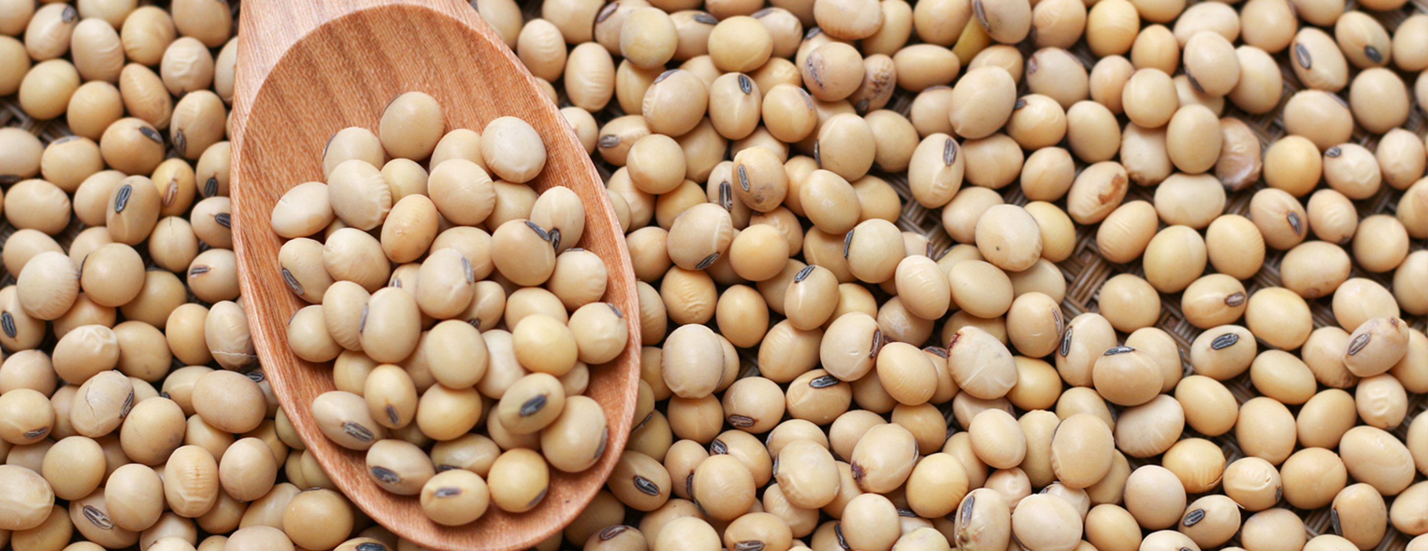Top 20 Ways to Get More Soy in Your Diet