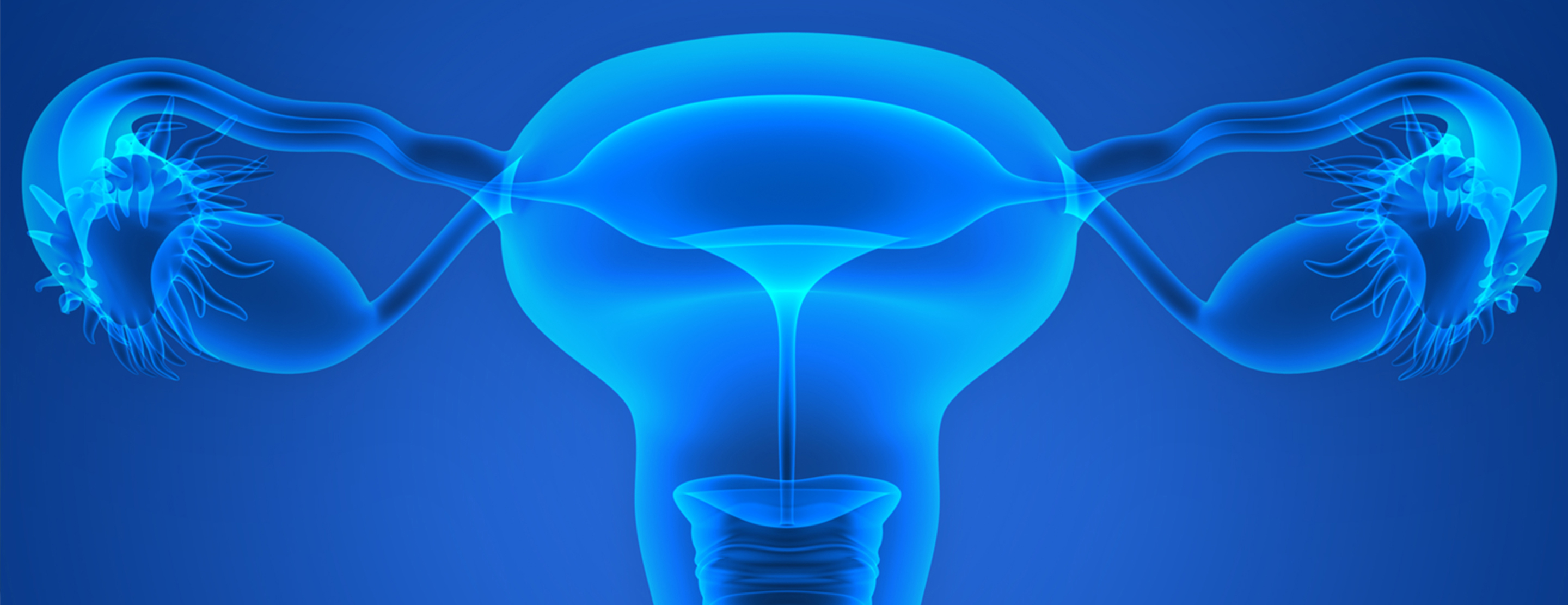 Что составляет репродуктивной системы человека. Женская репродуктивная система. Здоровая репродуктивная система женщины. Женская репродуктивная система картинки.