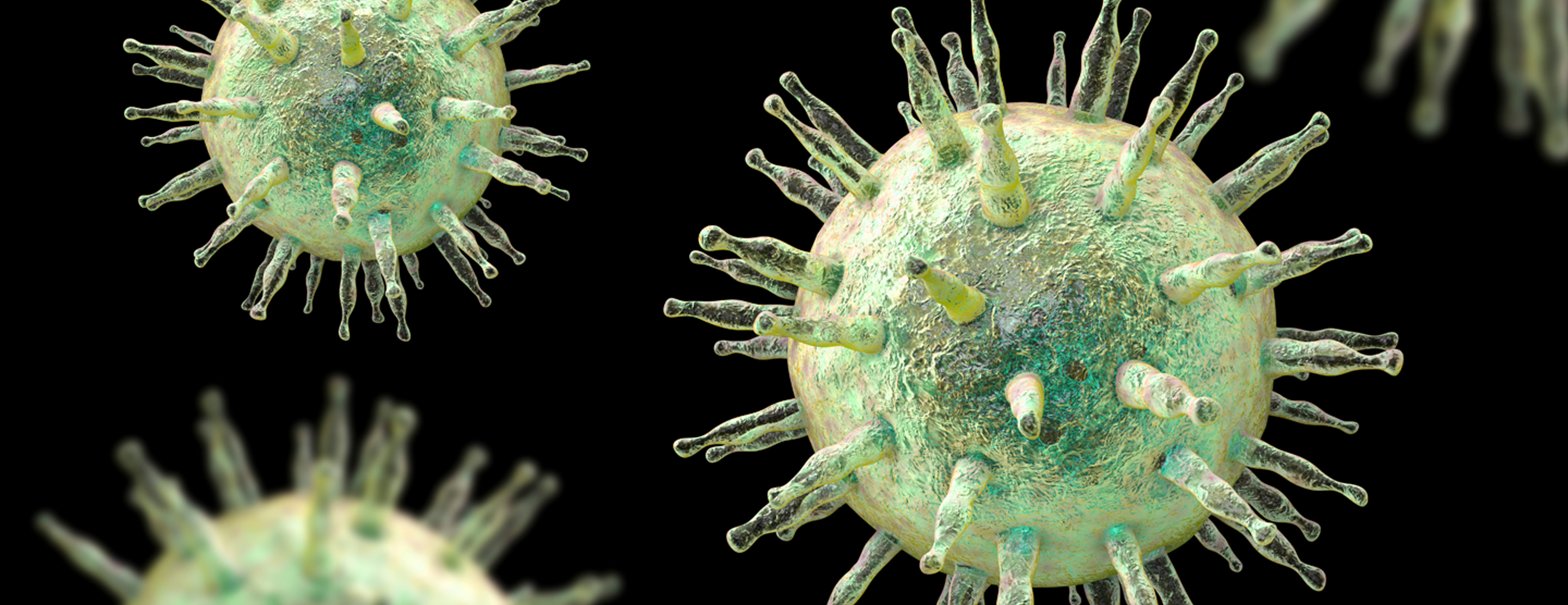 EpsteinBarr virus antibody test