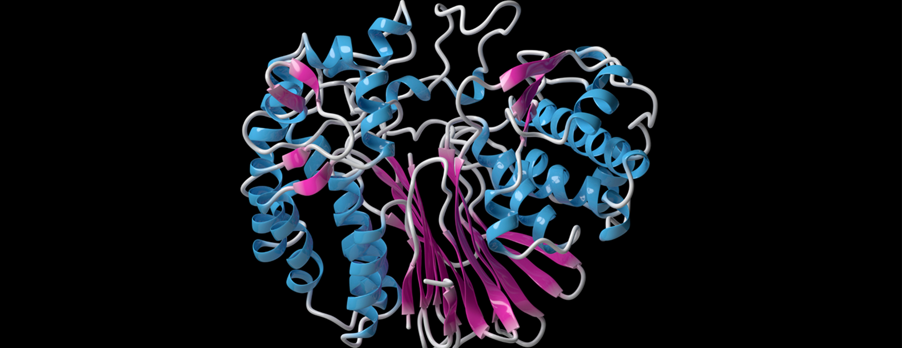 glutamyl transferase ggt transpeptidase ggtp ucsfhealth enzyme