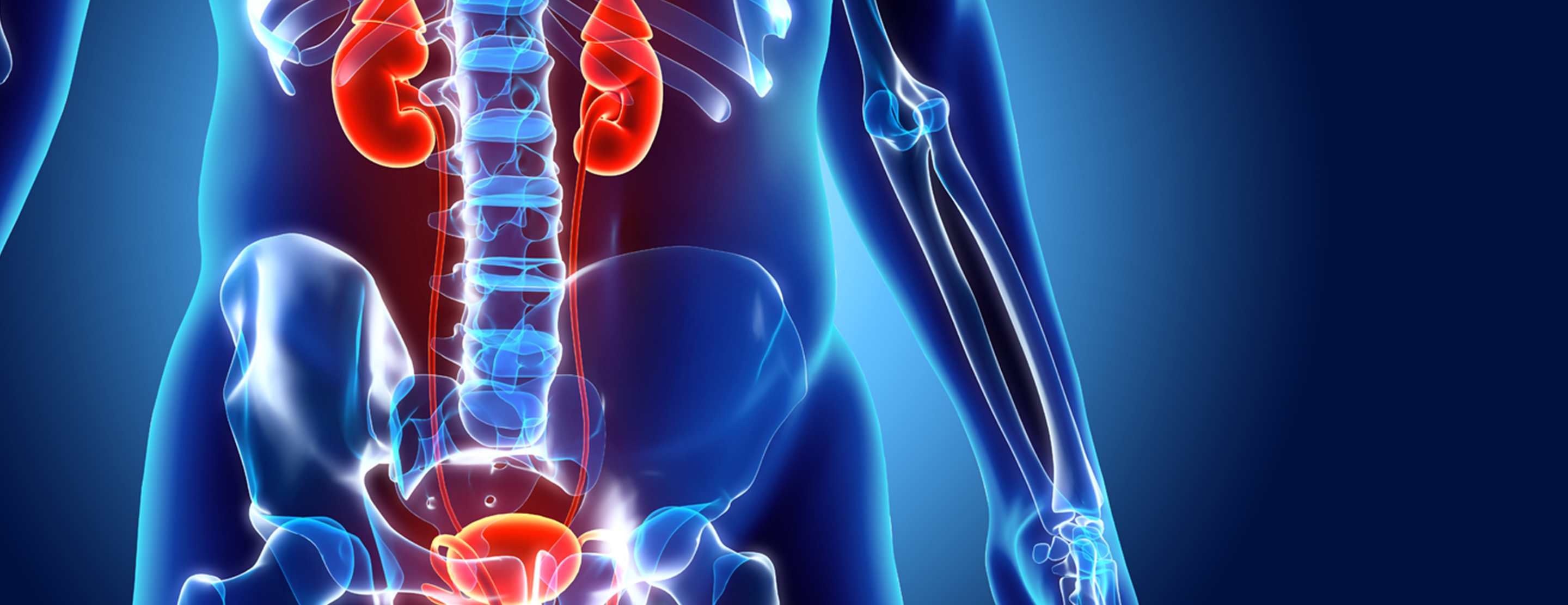 excretory pyelography definition