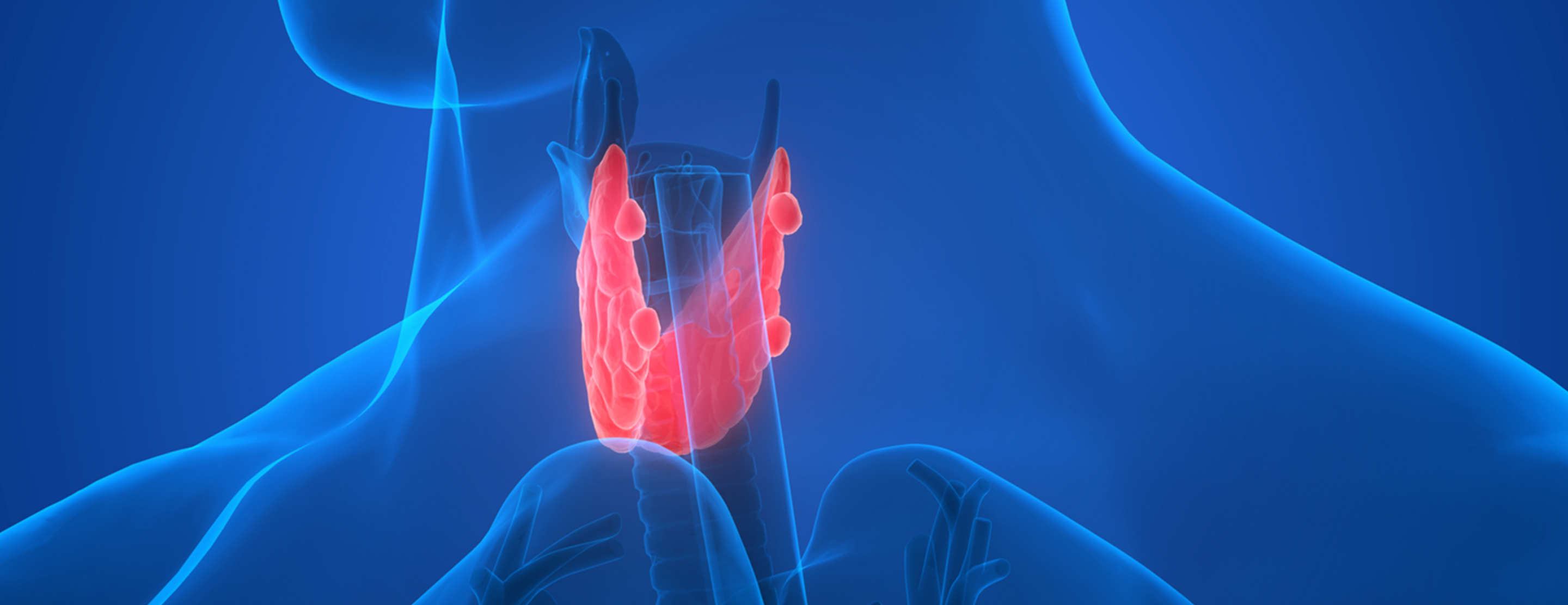 Зоб тест. Эндокринология щитовидная железа. Щитовидная железа на синем фоне. Щитовидка реклама.