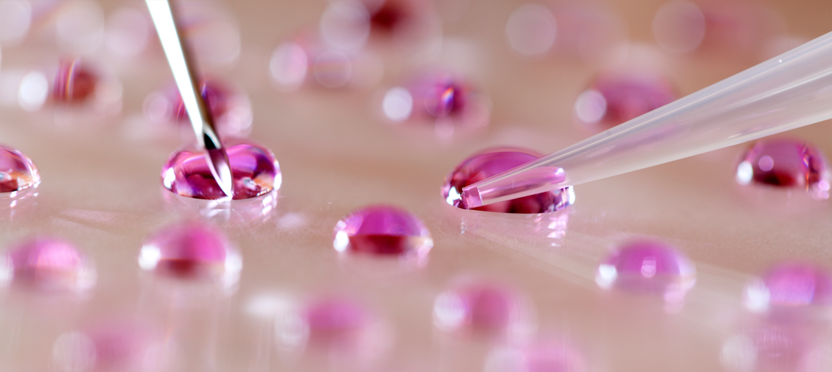 Spellbinding Can Work on The Outcome Of IVF