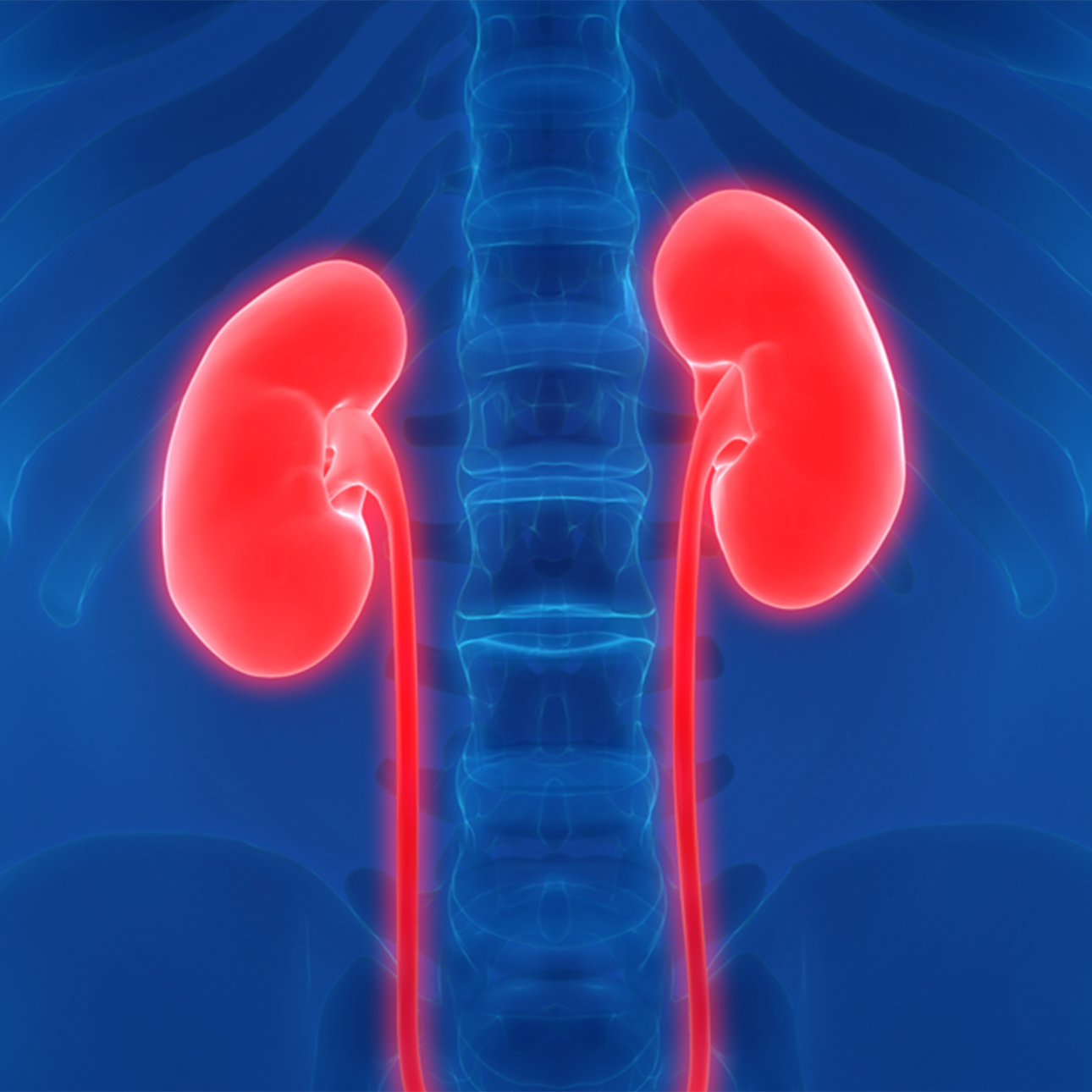 living-kidney-donor-transplant-1290x1290